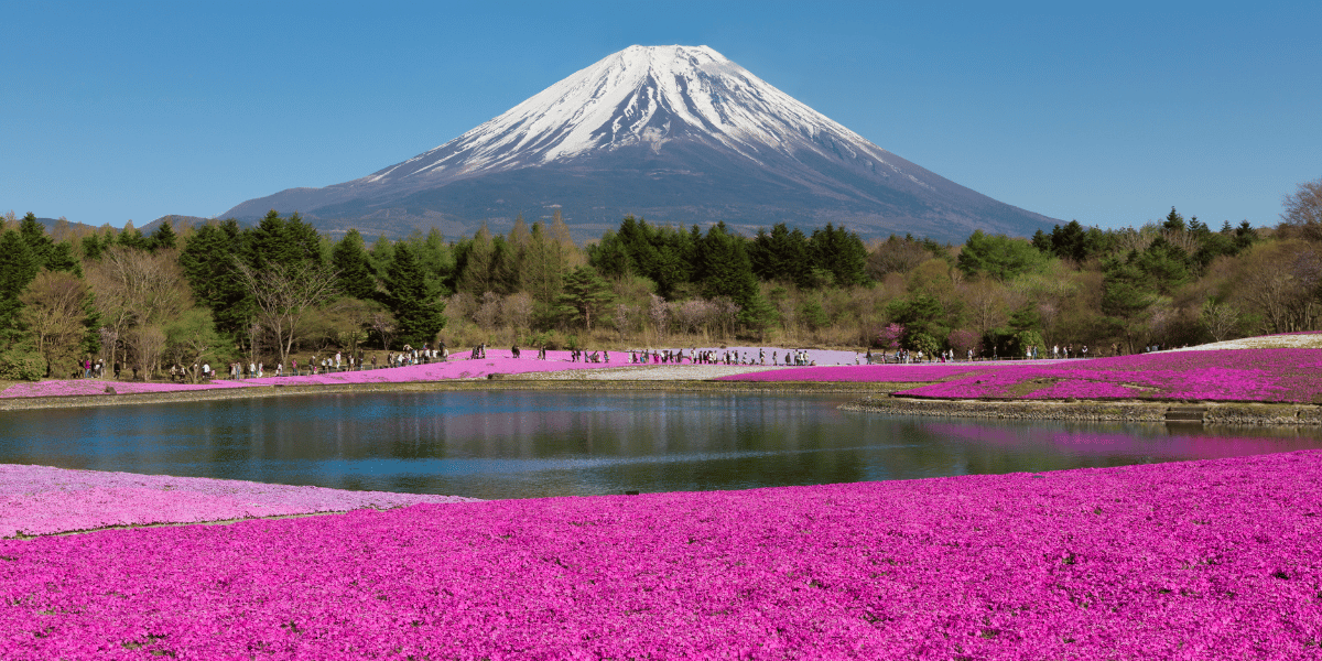 Short Japan Tour Package